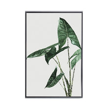 Load image into Gallery viewer, Green Plants Leaf Canvas