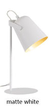 Load image into Gallery viewer, Modern Nordic style creative desk Lamps